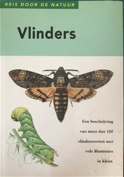 Vlinders, Reis door de natuur - 1