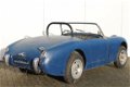 Austin Healey - 1 - Thumbnail