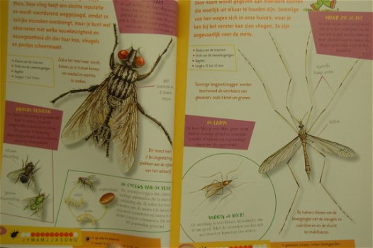 Insectengids voor kids - 5