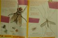 Insectengids voor kids - 5 - Thumbnail