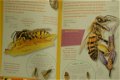 Insectengids voor kids - 6 - Thumbnail