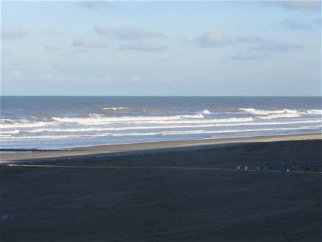 Vakantiestudio te huur aan zee in Westende bad - 8