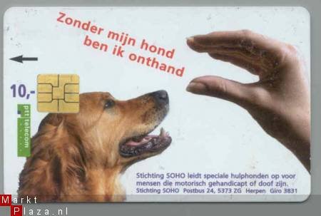 Nederland Hond - 1