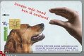 Nederland Hond - 1 - Thumbnail