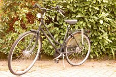 Bijna Nieuw: èèn goede 28'' inch Altra Milennium city trend dames fiets 53 cm frame maat