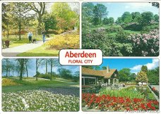 Schotland Aberdeen floral city