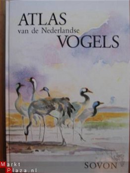 Atlas van de Nederlandse VOGELS - 1