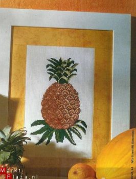 borduurpatroon 377 schilderijtje + boekomslag ananas - 1