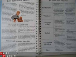 Het Baby-sitters handboek