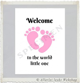 Baby kaart welcome little one roze A6 - 2