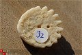 #32 Echinocorus Heliophora sp Leuk zee egeltje - 1 - Thumbnail