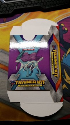 trainerkit lege doosje pikachu libre and suicune - nr. 1