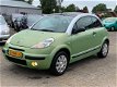 Citroën C3 Pluriel - 1.6i-16V AUTOMAAT Peter Mulder JR Emmer-Compascuum - 1 - Thumbnail