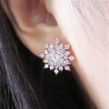 1001oorbellen helder kristal voor de bruid swarovski earrings - 5