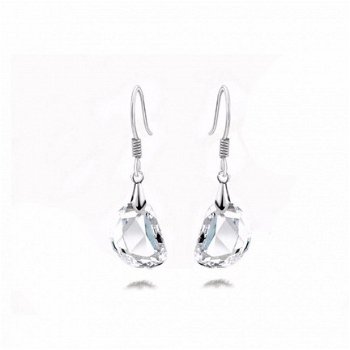 1001oorbellen helder kristal voor de bruid swarovski earrings - 2