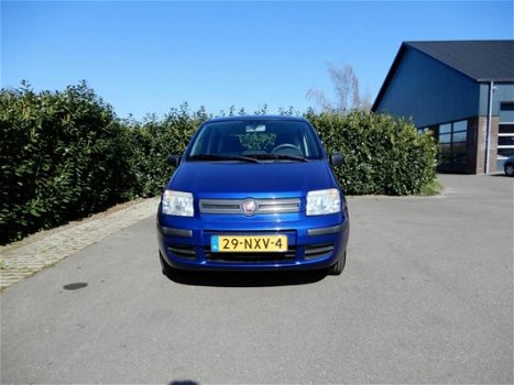 Fiat Panda - 1.2 Dynamic - 1