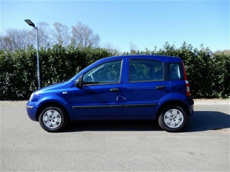 Fiat Panda - 1.2 Dynamic - 1