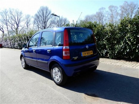 Fiat Panda - 1.2 Dynamic - 1