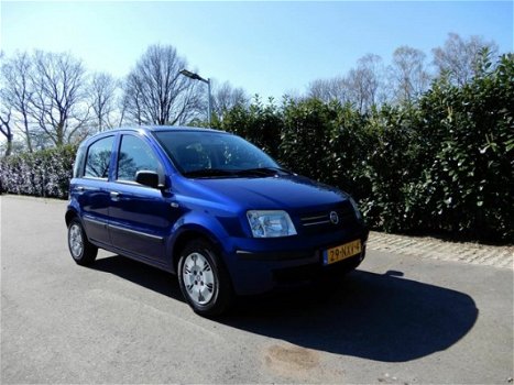 Fiat Panda - 1.2 Dynamic - 1