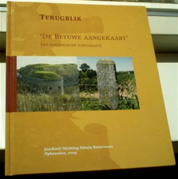 De Betuwe aangekaart.Een historische topografie(9490551018). - 1