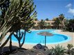 1 slaapkamer appartement in Corralejo Fuerteventura - 7 - Thumbnail