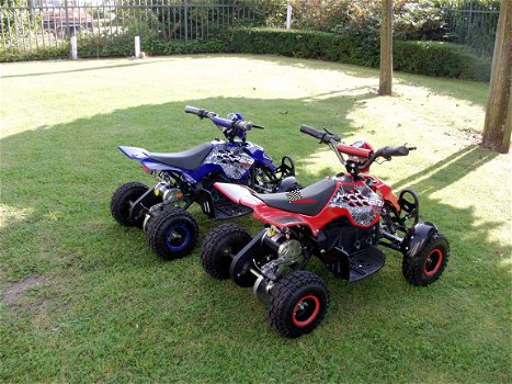 Kinderquad Typhoon 800watt - 2