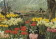 Westfriese Flora Bovenkarspel - 1 - Thumbnail