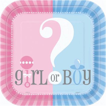 Boy or Girl versieringen - GENDER REVEAL PARTY - 1