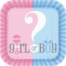 Boy or Girl versieringen - GENDER REVEAL PARTY