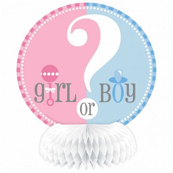 Boy or Girl versieringen - GENDER REVEAL PARTY - 5