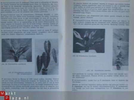 Het Handboek voor de Bloemisterij, III A - 3