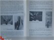 Het Handboek voor de Bloemisterij, III A - 3 - Thumbnail