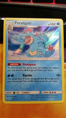 Feraligatr  24/70 Holo S & M Dragon Majesty