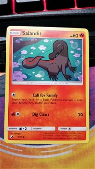 Salandit 13/70 S & M Dragon Majesty - 1