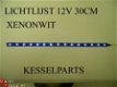 stadslicht leds superuitstraling 12v 12volt led xenonwit - 1 - Thumbnail