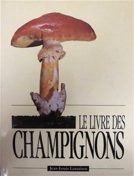 Le livre des champignons - 1