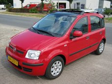 Fiat Panda - 1.2 Edizione Cool