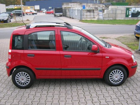 Fiat Panda - 1.2 Edizione Cool - 1