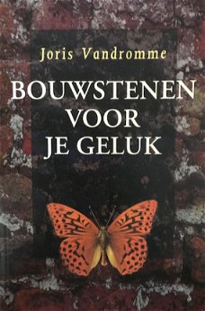 Bouwstenen voor je geluk, Joris Vandromme