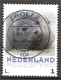 nederland 96 - 0 - Thumbnail