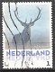 nederland 97 - 1 - Thumbnail