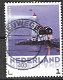 nederland 107 - 2 - Thumbnail