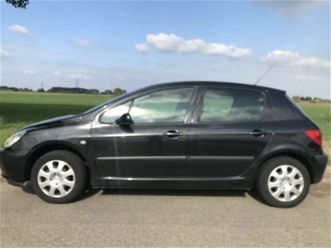 Peugeot 307 - 1.6-16V XS / 5 deurs automaat - clima - 1