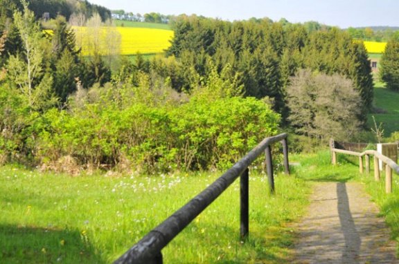 Idyllisch vakantiehuis in de Eifel - Afbeelding 8