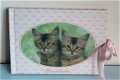 Fotoalbum cover poezen cq. katten - 0 - Thumbnail