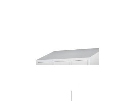 Schuine dak 60 cm Vanaf: €25.50 - 1