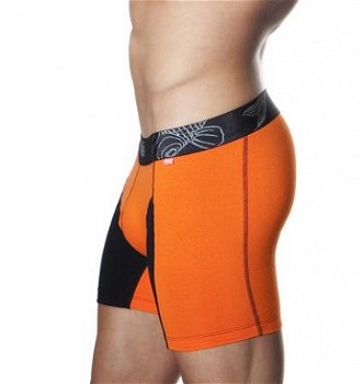 Alexander CoBB boxershort long - 2