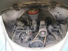 Volkswagen Kever Cabriolet - shorty