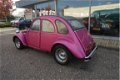 Citroën 2 CV - 2CV6 Special - 1 - Thumbnail