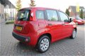 Fiat Panda - 0.9 TwinAir Pop ecco - 1 - Thumbnail